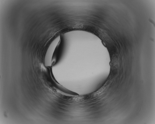 X0000097760172200804041133