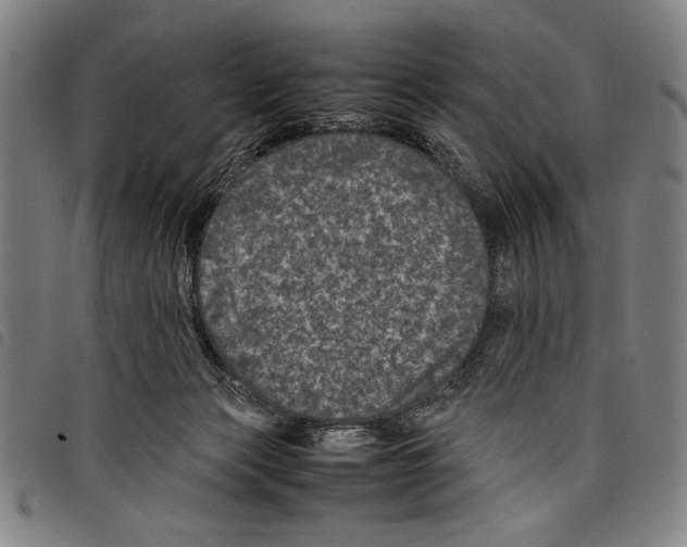 X0000097760173200804041133