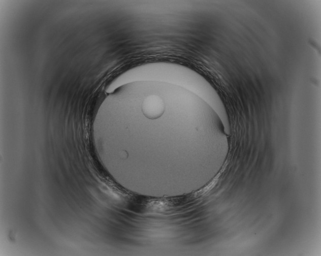 X0000097760174200804041133