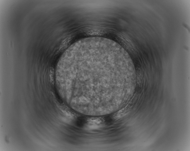 X0000097760175200804041133