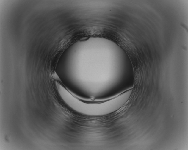 X0000097760176200804041133