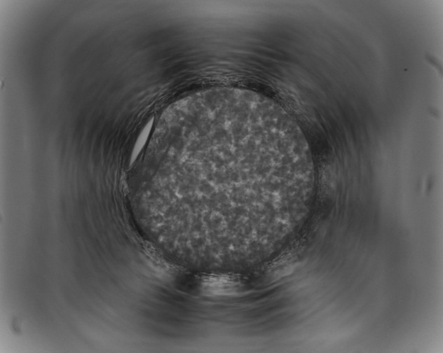 X0000097760177200804041133