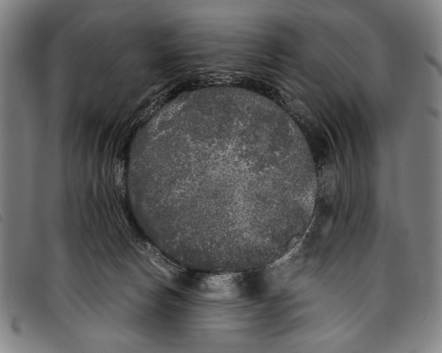 X0000097760178200804041133