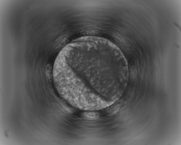 X0000097760181200804041134