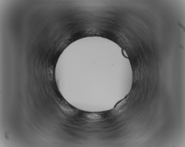 X0000097760183200804041134