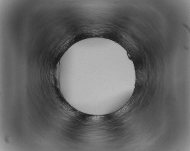 X0000097760184200804041134