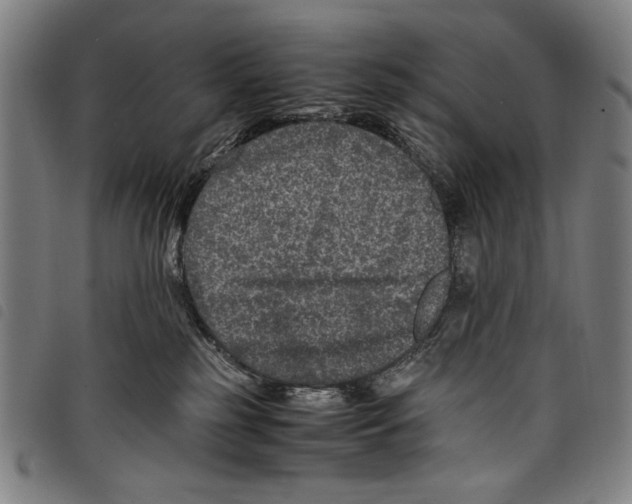 X0000097760185200804041134