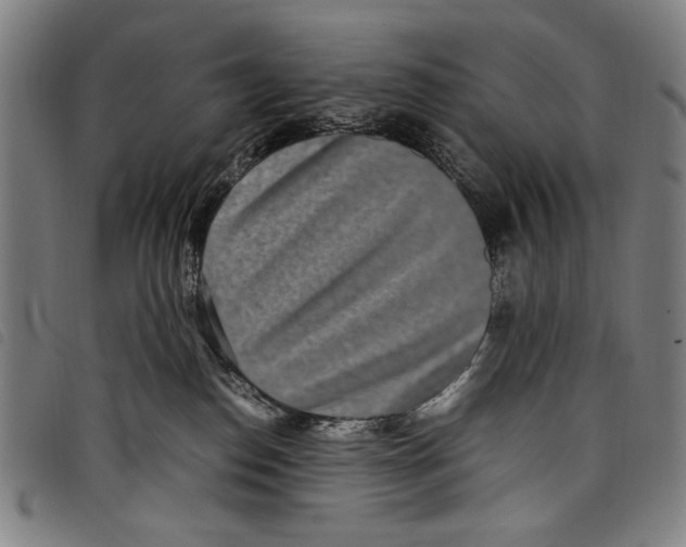 X0000097760186200804041134