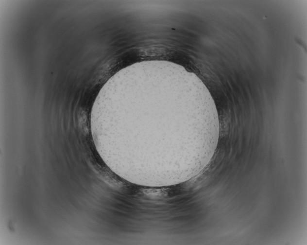 X0000097760187200804041134