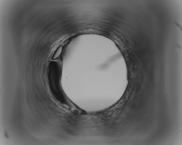 X0000097760193200804041133