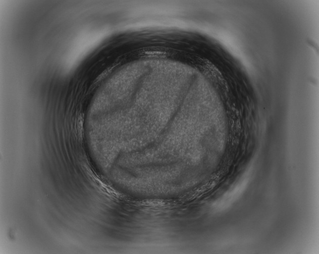 X0000097760194200804041133