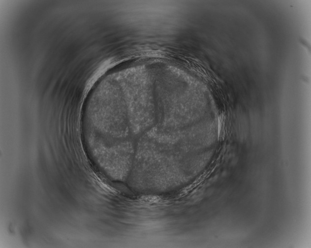 X0000097760195200804041133