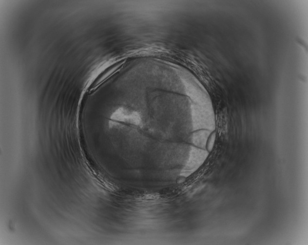 X0000097760196200804041133