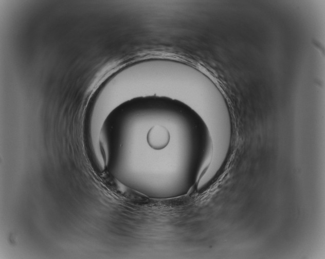 X0000097760199200804041133