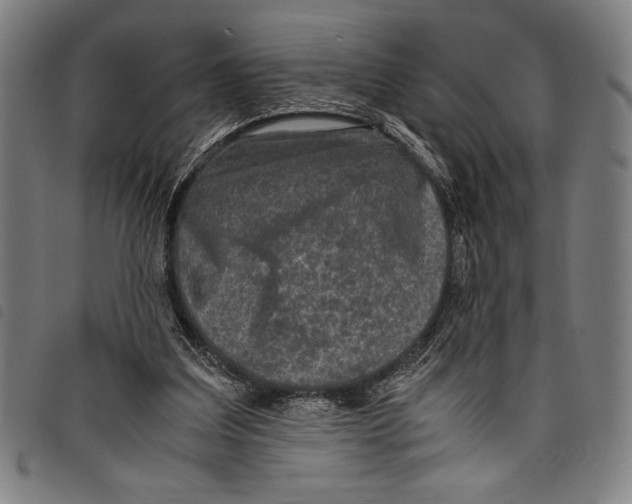 X0000097760203200804041133