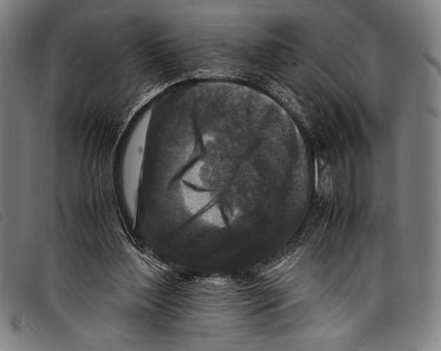 X0000097760204200804041133