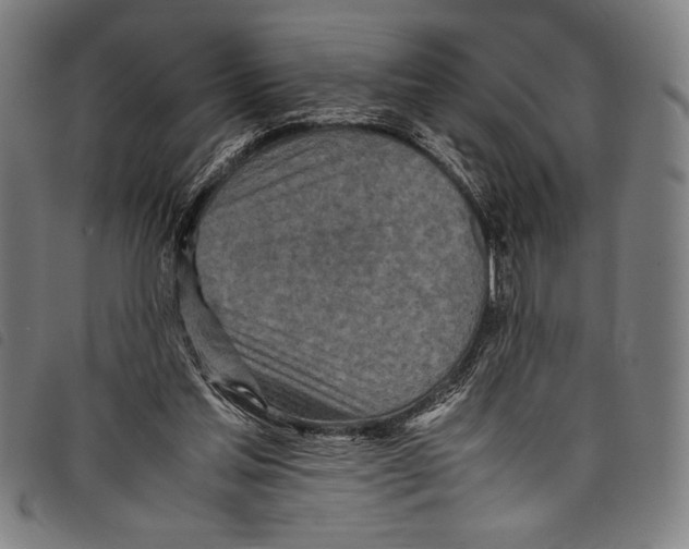 X0000097760205200804041133