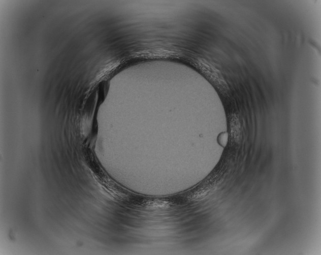 X0000097760206200804041133