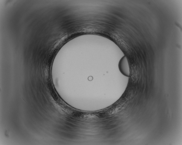 X0000097760208200804041133