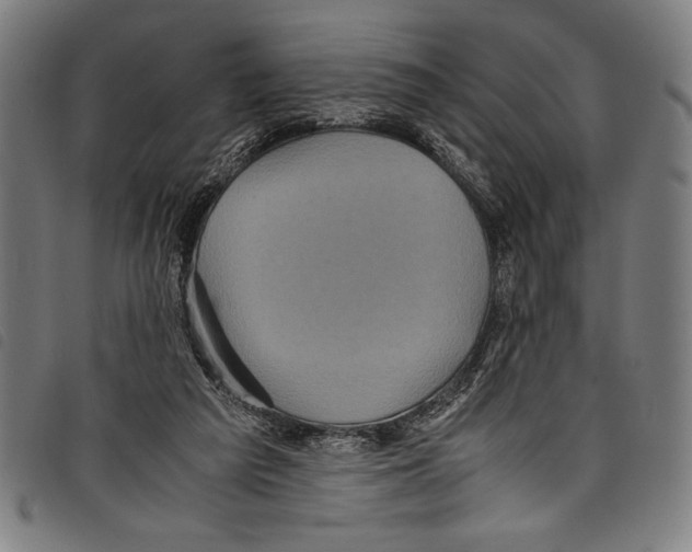 X0000097760209200804041133