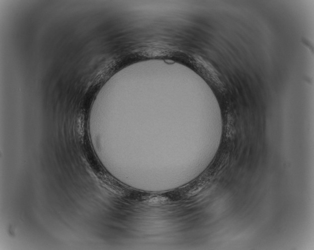 X0000097760210200804041133