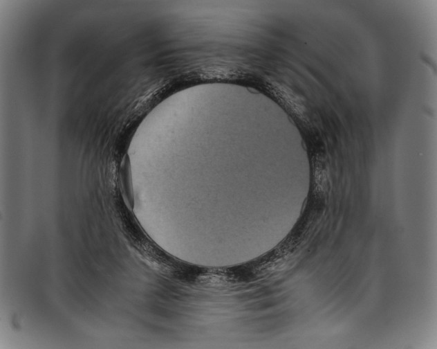 X0000097760211200804041133