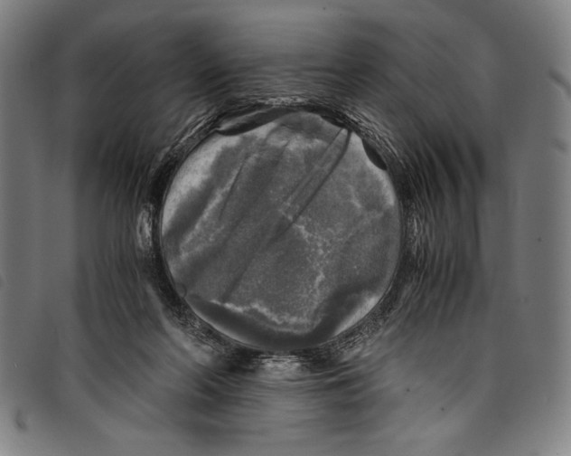 X0000097760214200804041133