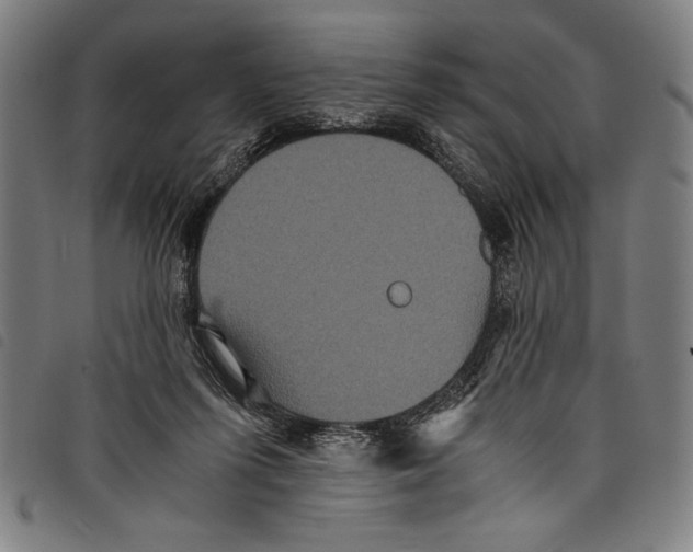 X0000097760215200804041133