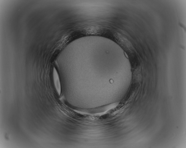 X0000097760217200804041133