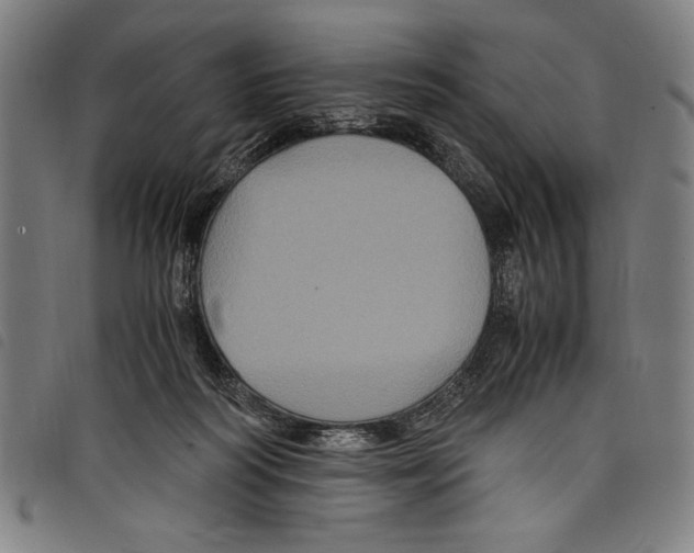 X0000097760218200804041133