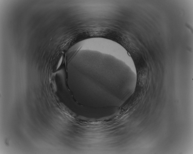 X0000097760219200804041133