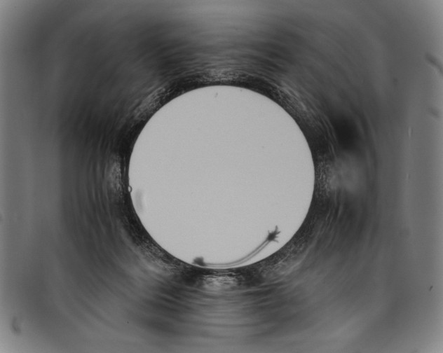 X0000097760220200804041133