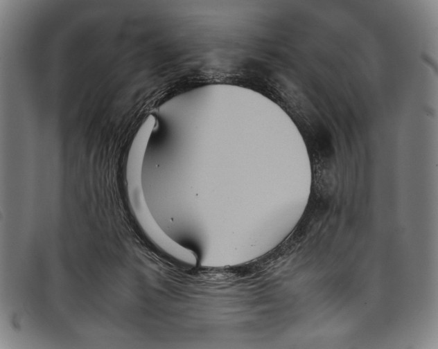 X0000097760221200804041133