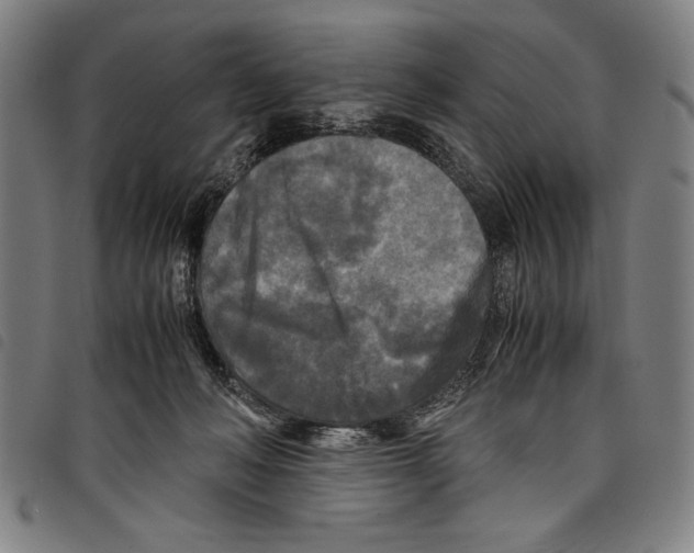 X0000097760222200804041133