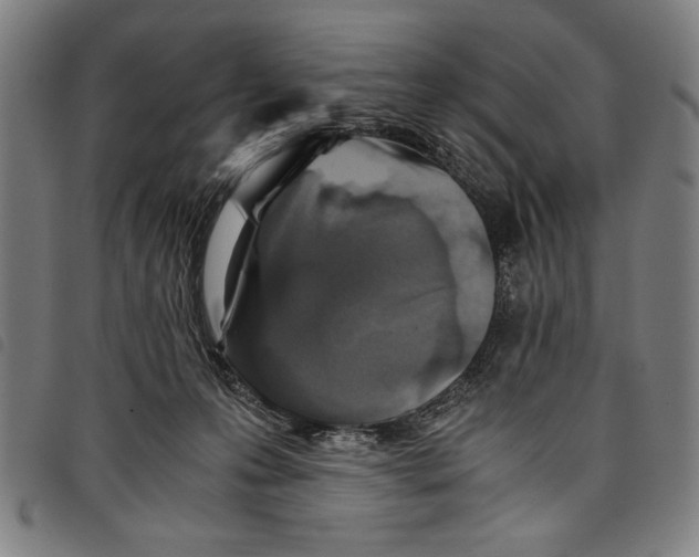 X0000097760223200804041133