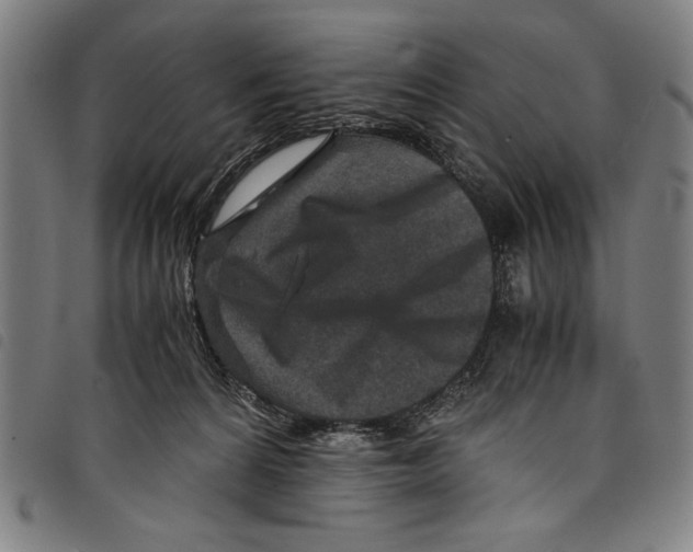 X0000097760224200804041133