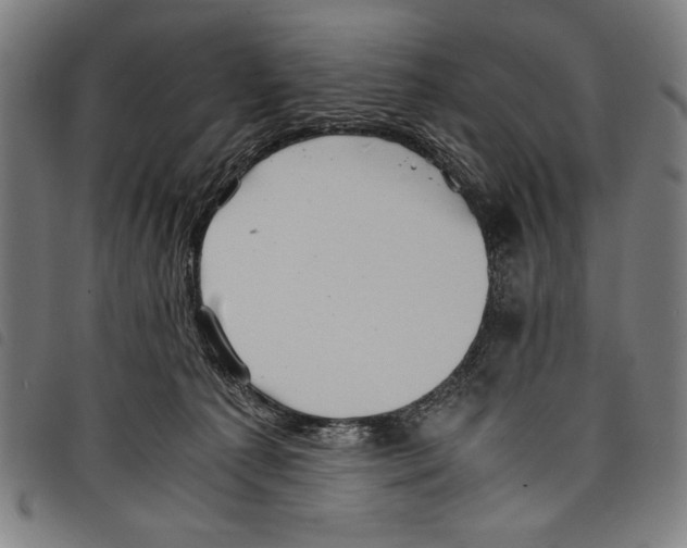 X0000097760225200804041133