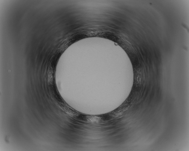 X0000097760226200804041133