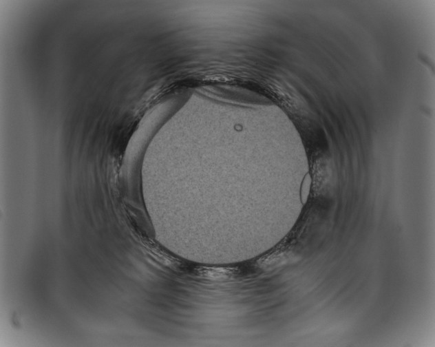 X0000097760229200804041133