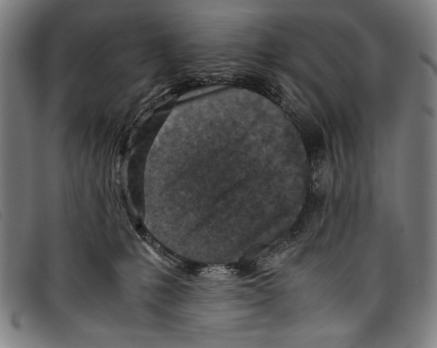 X0000097760231200804041133