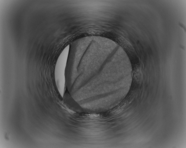 X0000097760233200804041132