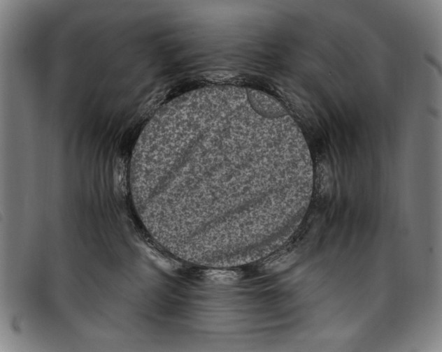 X0000097760234200804041132