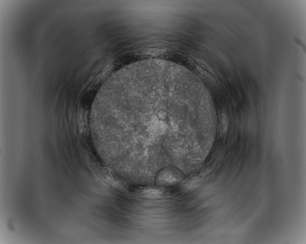 X0000097760236200804041132