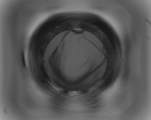 X0000097760239200804041132