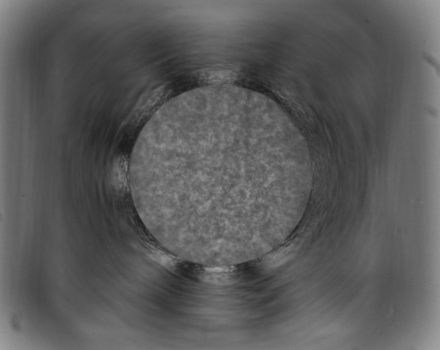 X0000097760240200804041132