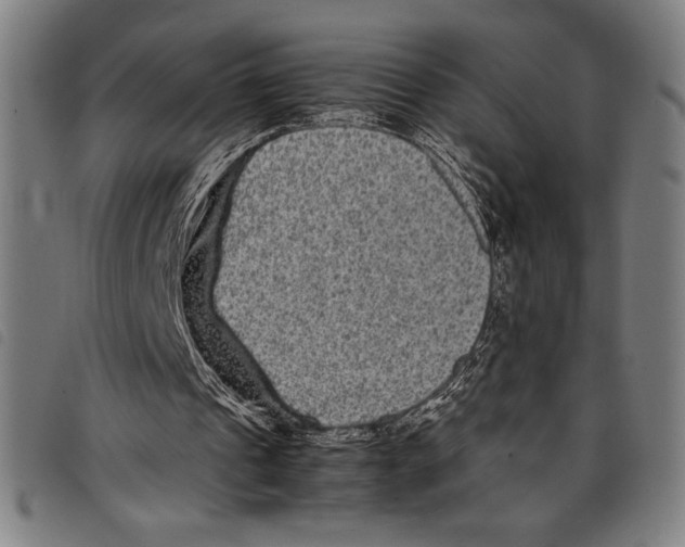 X0000097760241200804041132