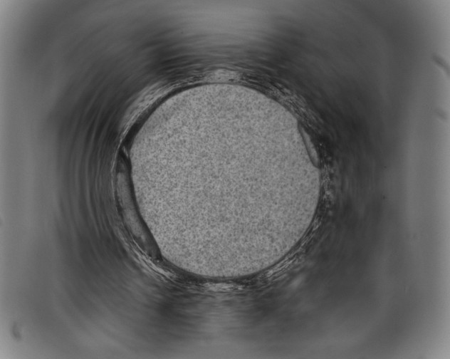 X0000097760242200804041132