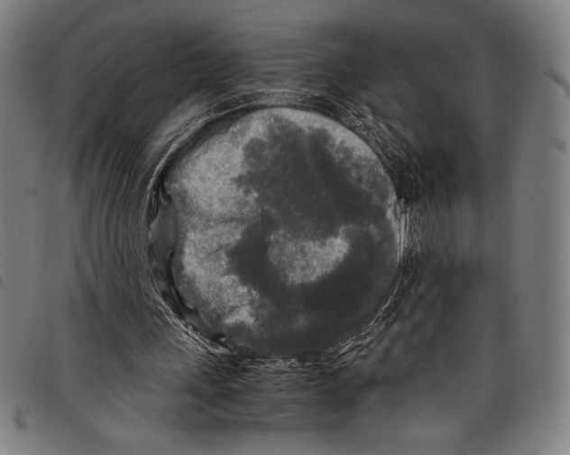 X0000097760243200804041132