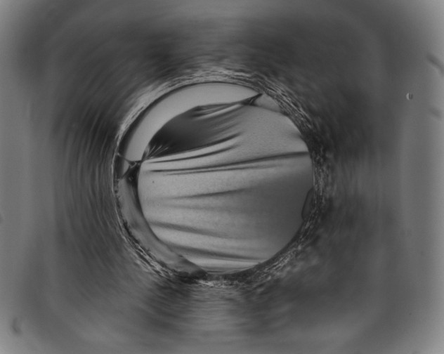 X0000097760244200804041132