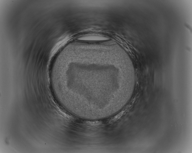 X0000097760245200804041132